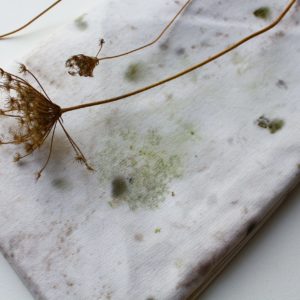 Nappe à impressions végétales